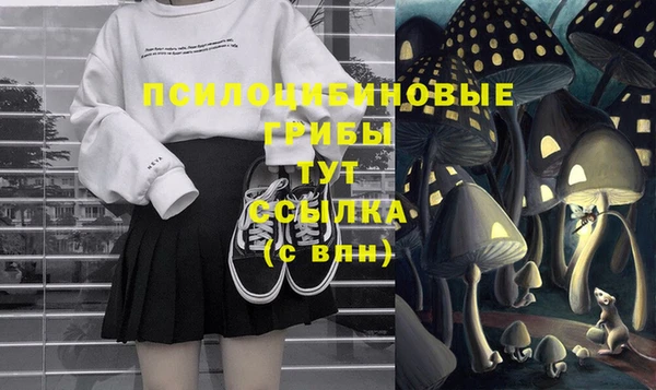 экстази Ельня