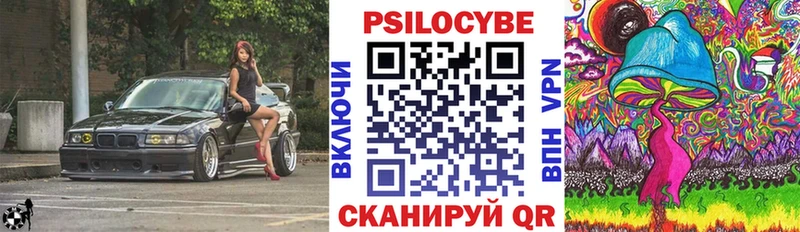 Купить где Каргат Галлюциногенные грибы мухоморы